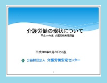 29年度調査